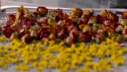 CI IR D5 dehydrator