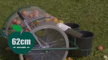 800M fruit collectors