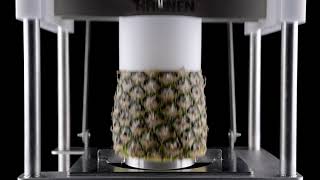 Kronen KA pineapple cutter