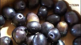 Piteba olive oil