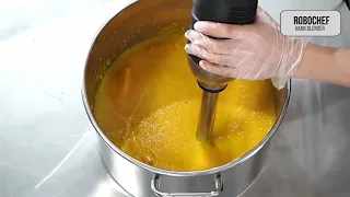 Robochef gastro hand blender