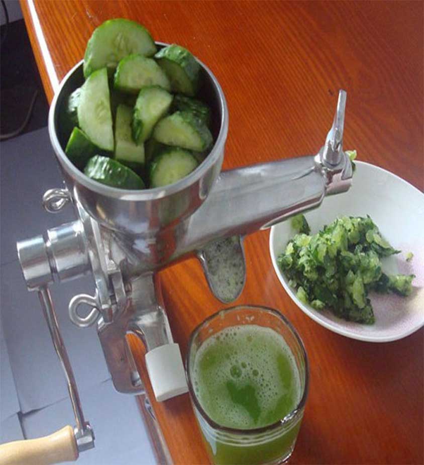 Manual stainless steel wheatgrass juicer