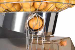 Mizumo self-service feeder