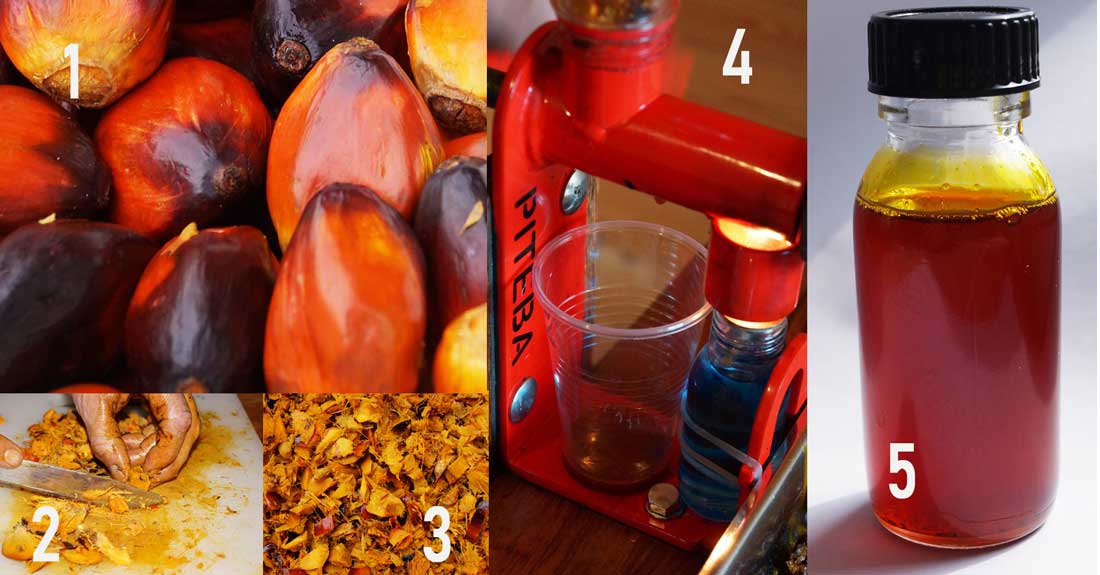Palm oil - How to