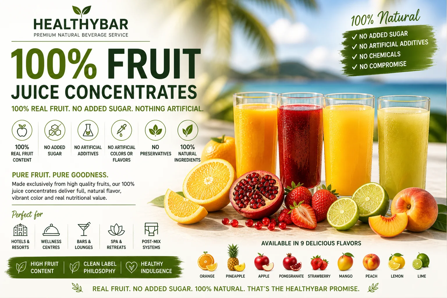 HealthyBar 100% fruit juice concentrates with no added sugar for HORECA wellness, premium bars and post-mix beverage programs