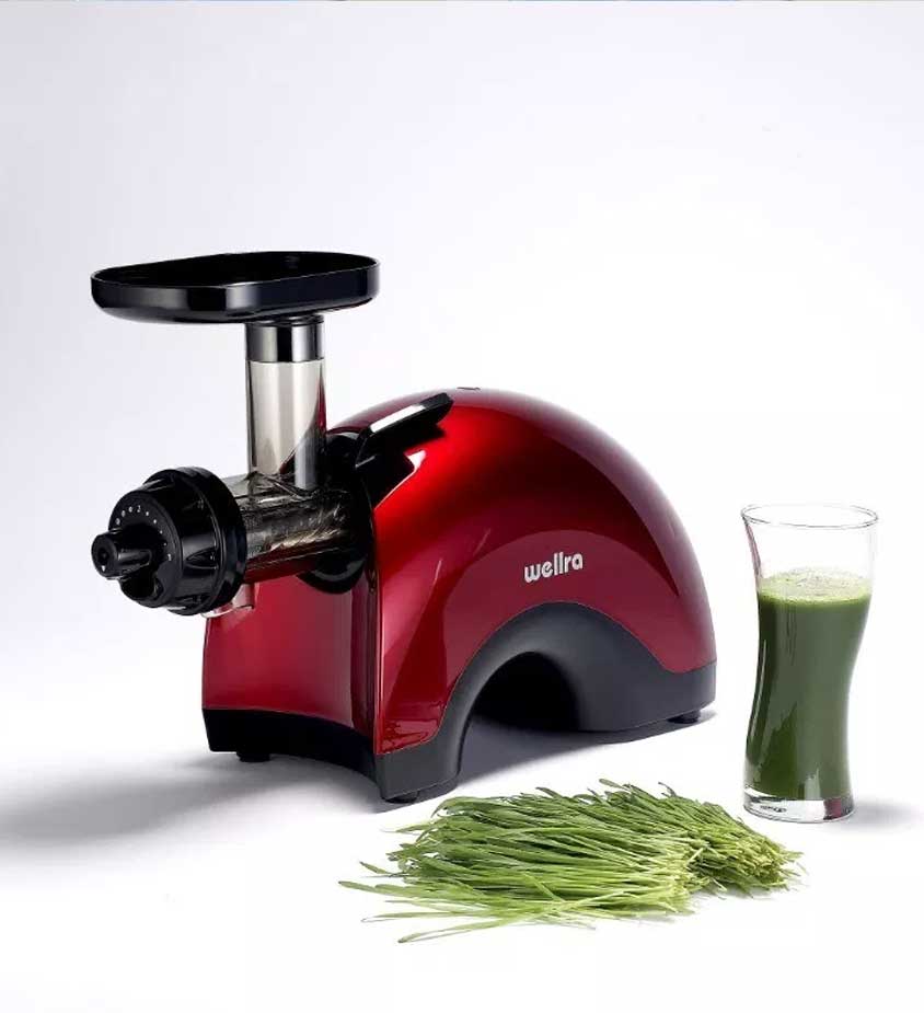 Wellra Twin Gear Slow Juicer TGJ-50S